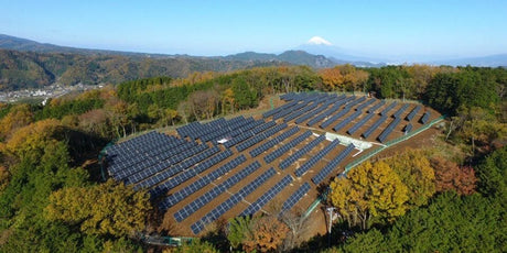 Vooruitzichten voor bifaciale en grootformaat zonnepanelen