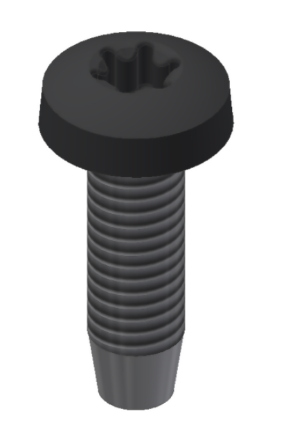 Rvs zelftapbout M6x20mm - T30 ZWART