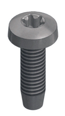 Rvs zelftapbout M6x20mm - T30