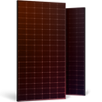 Coulored frame_orange