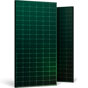 Coulored frame_green