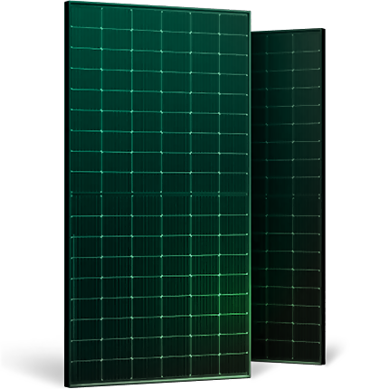 Coulored frame_green