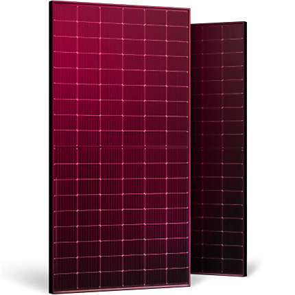 Coulored frame_red